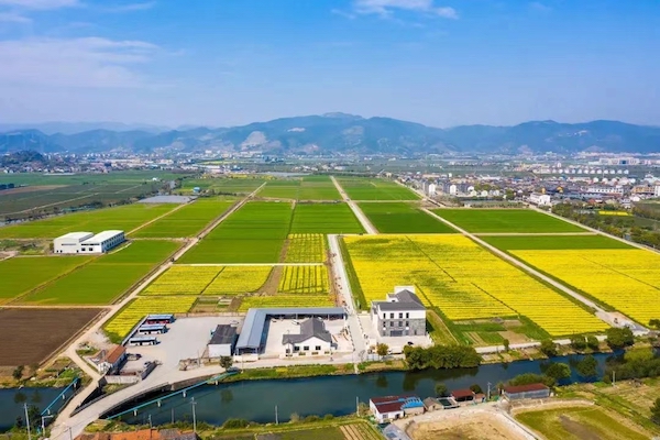 高標準農(nóng)田典型案例集錦丨“豐景”，在希望的田野